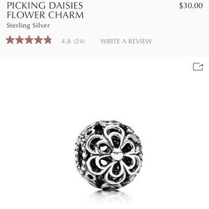 Pandora Charm 🌺
